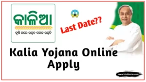 kalia yojana online apply
