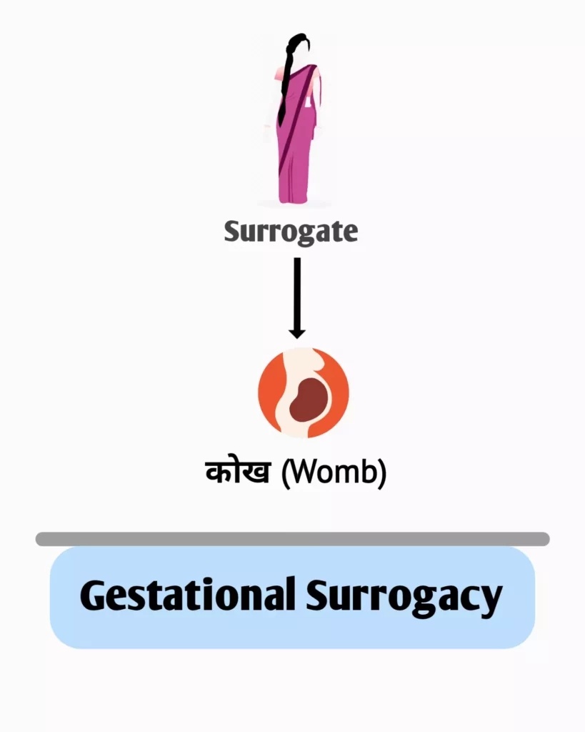 gestational surrogacy meaning in hindi 