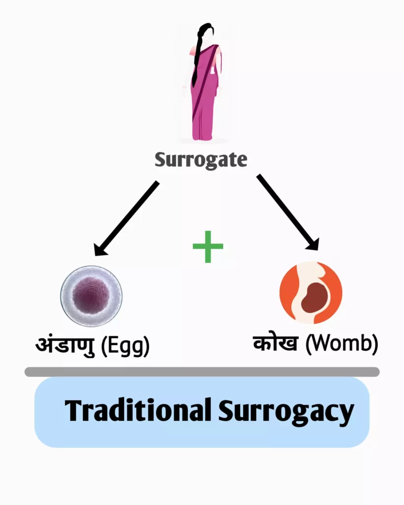 traditional surrogacy meaning in hindi 