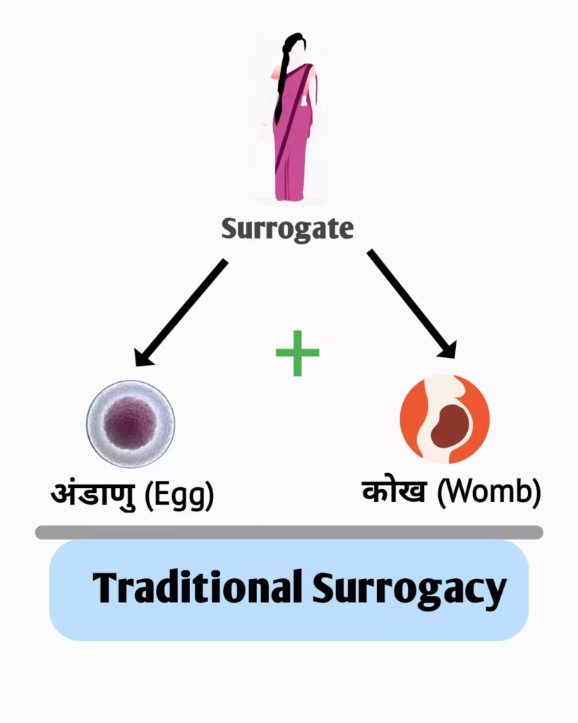 traditional surrogacy meaning in hindi
