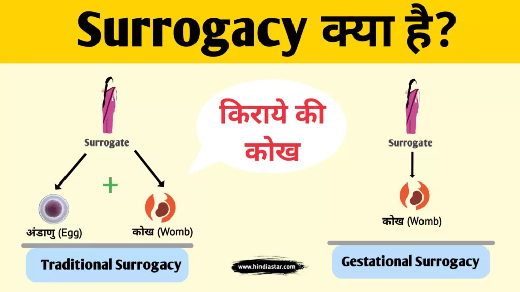 what‌ ‌is‌ ‌surrogacy‌ ‌meaning‌ ‌in‌ ‌hindi‌ ‌