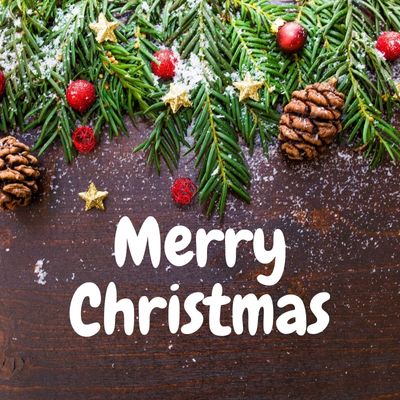 wishing a merry Christmas by an image with green tree leaf, cherry