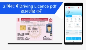 driving licence download pdf