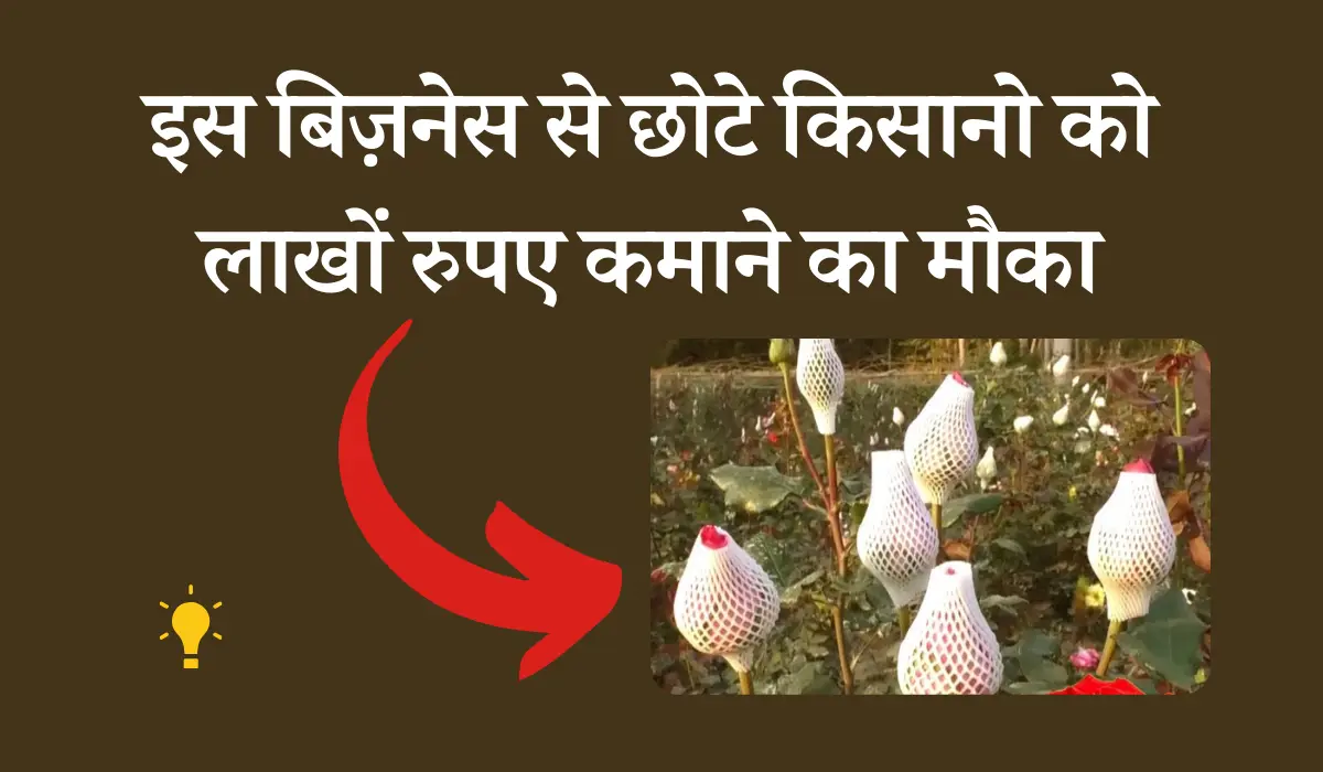 इस बिज़नेस से छोटे किसानो को लाखों रुपए कमाने का मौका
