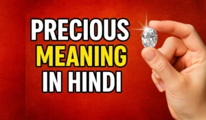 Precious का मतलब क्या होता है? (Precious Meaning in Hindi with Example)