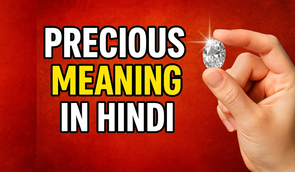 Precious Meaning in Hindi with Example